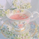 teacup'