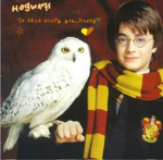 HOGWARTS WIZARDS TRAINING SCHOOL