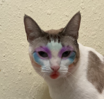 Zoe_pretty