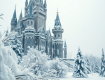 alexx's kingdom