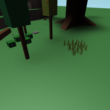 TheOmenXD's Place Number: 40