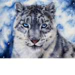 TEAM LEOPARD FOREVER
