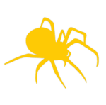 The Spider Union Council