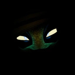 Polish Or Perish  ===Testing=== icon