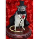 aesthetic rats,
