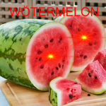 Cult Of The Melon