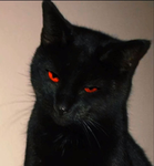 Ghoul-ishly