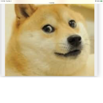 Doge lan