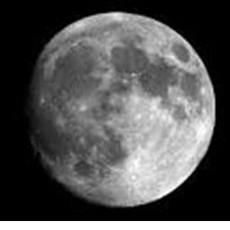 Moonbase Delta