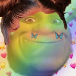The Turtle Fan Squad