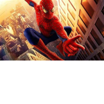 The Spideys team