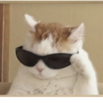 JustBeingCool