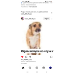 Tim aguacate
