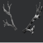 SilverThornz