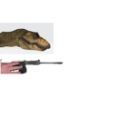 trex Order