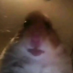 AEsThetic_SAD!
