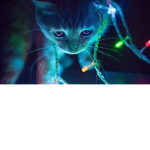 If You Like Kittys... YOU HAVE TO JOIN THIS!