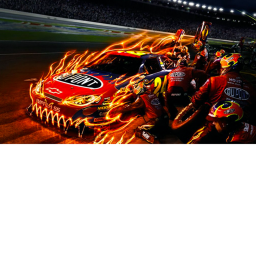 RACE RACE RACE