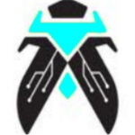 The International Army:Airforce Division