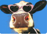 Casual cows army!