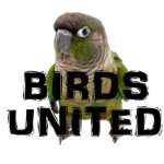 Birds - United