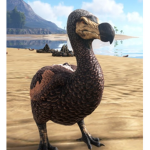 The Dodo Empire