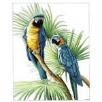 The Furious Parrots