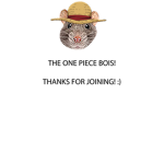 THE ONE PIECE BOIS