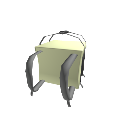 delivery bag