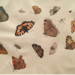 butterflys_