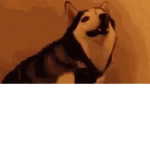 WhenYouEatALemin