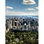 The New York Alliance