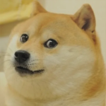 Doge Society (super secret)