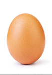To egg