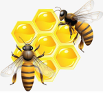 The Bee’s Hive for Bees