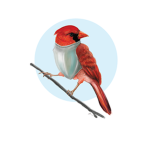 The Cardinal Group