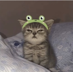 Sammi-Xp