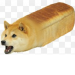 Doge squad so cool