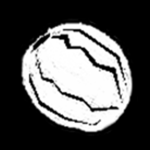 Allspice