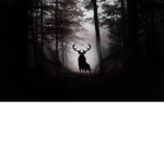 The Dark Antlers