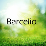 Barcelio
