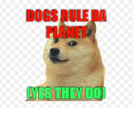 DOGS RULE YEAH!