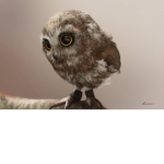 Cute Owls