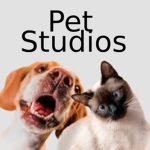 ModdedF2 Studios