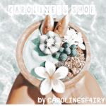 caroline's shop