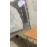 تركي حميد