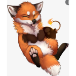 The Furry foxes and koalas