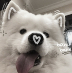 M A L 1