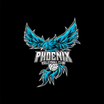 Phoenix high volleyball club