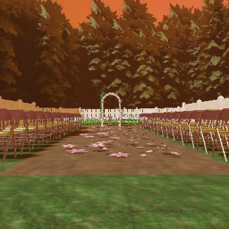 A Desolate Wedding